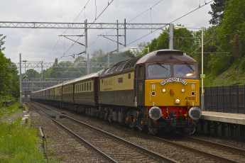 Картинка техника поезда железная дорога рельсы локомотив состав