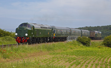 Картинка техника поезда железная дорога рельсы локомотив состав
