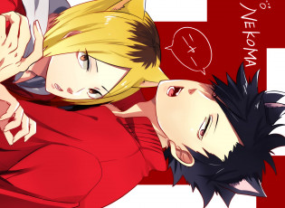 Картинка аниме haikyuu парни волейбол