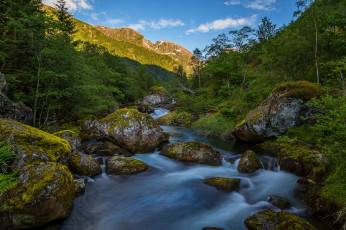 Картинка природа реки озера лес река