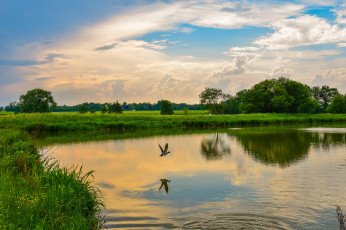 Картинка природа реки озера река лес