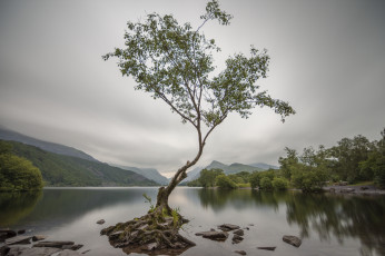 Картинка природа реки озера река лес