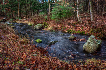 Картинка природа реки озера лес река