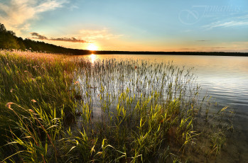 Картинка природа реки озера река лес