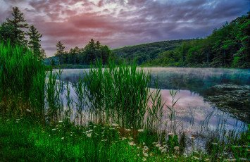 Картинка природа реки озера лес река