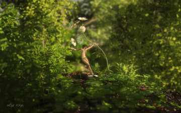 Картинка 3д+графика эльфы+ elves эльфийка взгляд фон