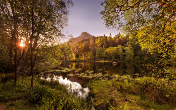 Картинка природа реки озера река лес