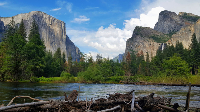 Обои картинки фото природа, реки, озера, река, лес