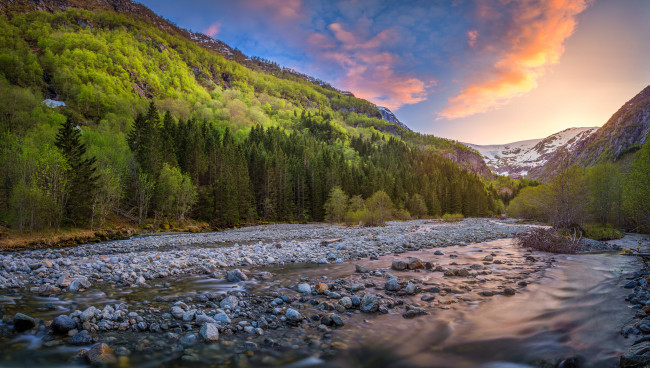 Обои картинки фото природа, реки, озера, река, лес