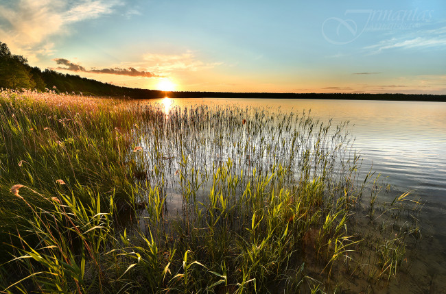 Обои картинки фото природа, реки, озера, река, лес