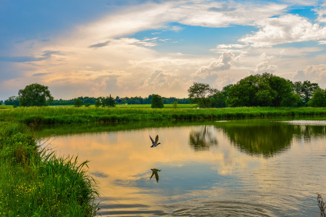 Обои картинки фото природа, реки, озера, река, лес