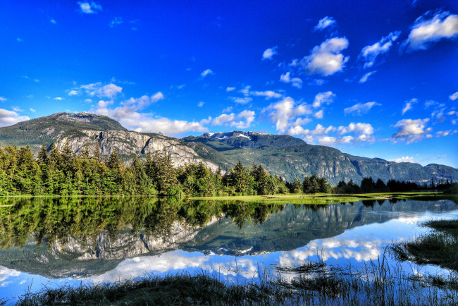 Обои картинки фото природа, реки, озера, река, лес