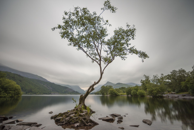 Обои картинки фото природа, реки, озера, река, лес