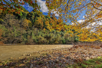 Картинка природа реки озера простор