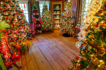 Картинка праздничные Ёлки много елки новогодние