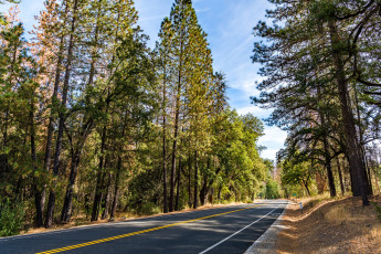 Картинка природа дороги простор