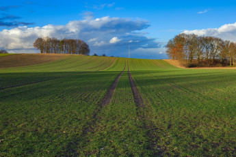 Картинка природа поля простор