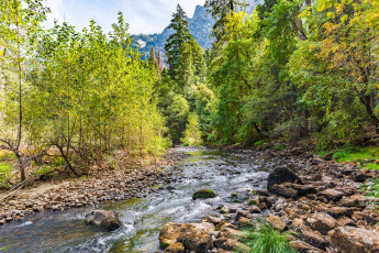 Картинка природа реки озера простор