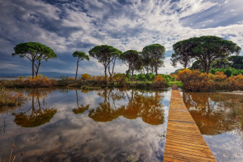 Картинка природа реки озера простор