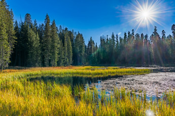 Картинка природа реки озера простор