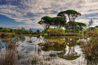 Картинка природа реки озера простор