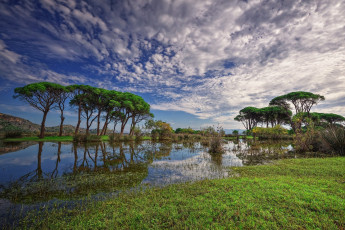 Картинка природа реки озера простор