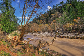 Картинка природа реки озера простор