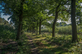 Картинка природа дороги простор