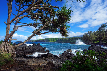 Картинка природа побережье простор