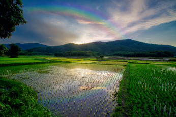 Картинка природа реки озера простор