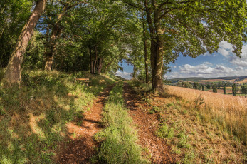 Картинка природа дороги простор