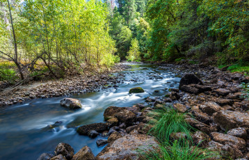 Картинка природа реки озера простор