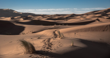 Картинка природа пустыни простор