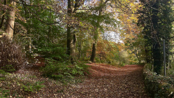 Картинка природа дороги простор