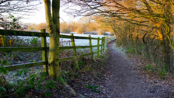 Картинка природа дороги простор