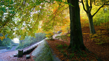 Картинка природа пейзажи простор