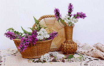 Картинка цветы луговые+ полевые +цветы лето композиция