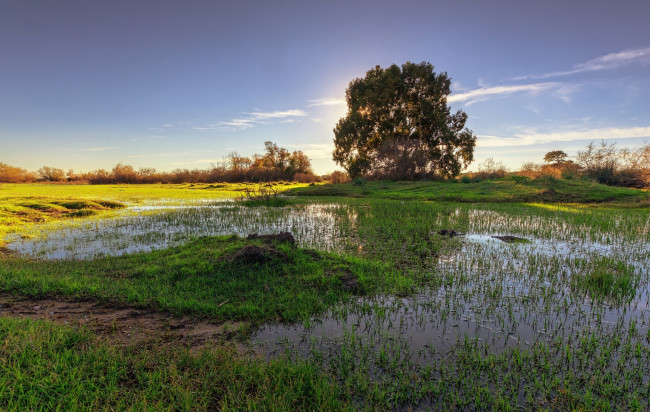 Обои картинки фото природа, пейзажи, простор