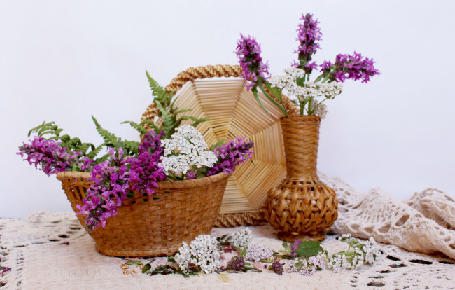 Обои картинки фото цветы, луговые , полевые,  цветы, лето, композиция