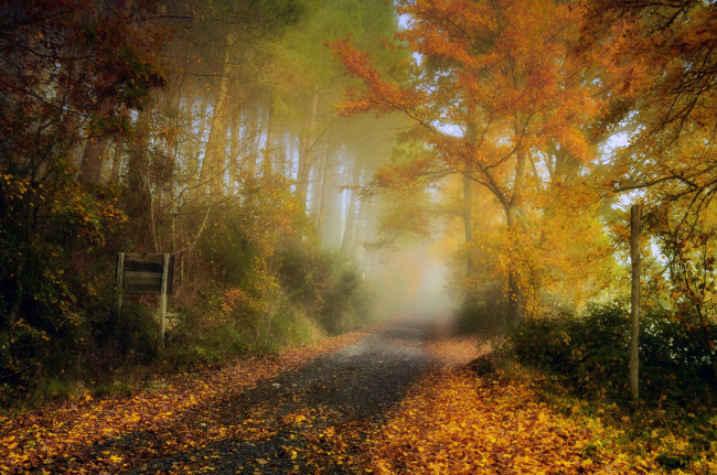 Обои картинки фото природа, дороги, простор