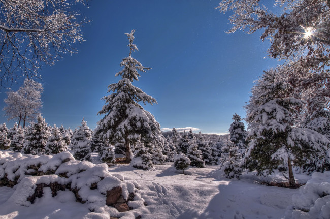 Обои картинки фото природа, зима, простор