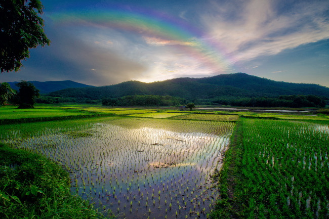 Обои картинки фото природа, реки, озера, простор