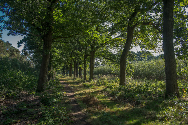 Обои картинки фото природа, дороги, простор