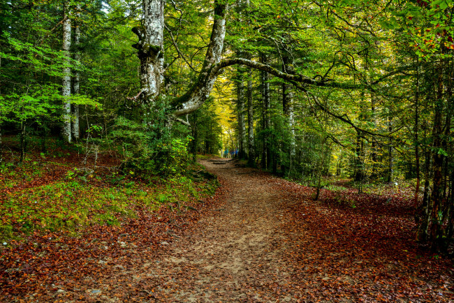 Обои картинки фото природа, дороги, простор