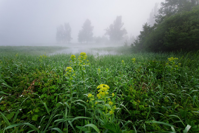 Обои картинки фото природа, пейзажи, простор