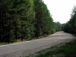 Картинка природа дороги проселочная дорога