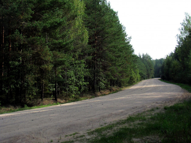 Обои картинки фото природа, дороги, проселочная, дорога