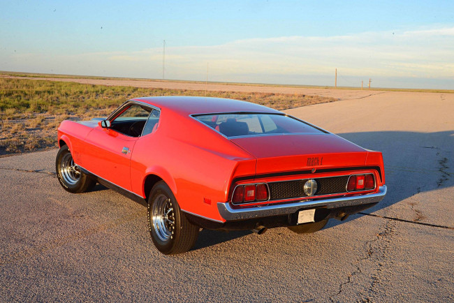 Обои картинки фото автомобили, mustang