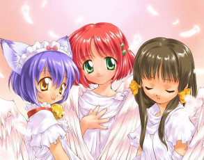 Картинка аниме angels demons