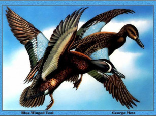 обоя рисованные, животные, птицы, утки